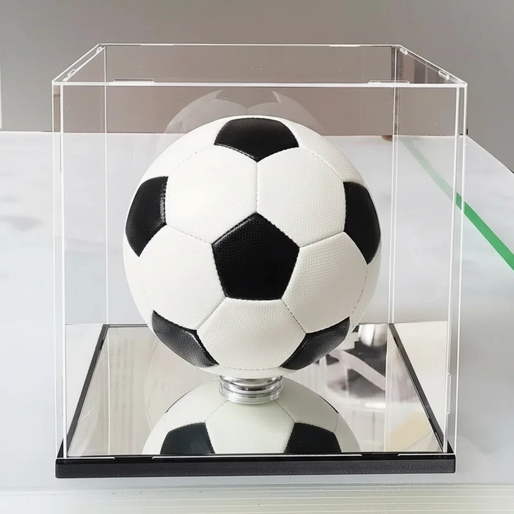 Collector's Display Stand